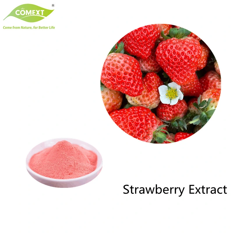 Comext Wholesale/Supplier Bulk Price Spray Dried Water Soluble Strawberry Juice Powder Extract