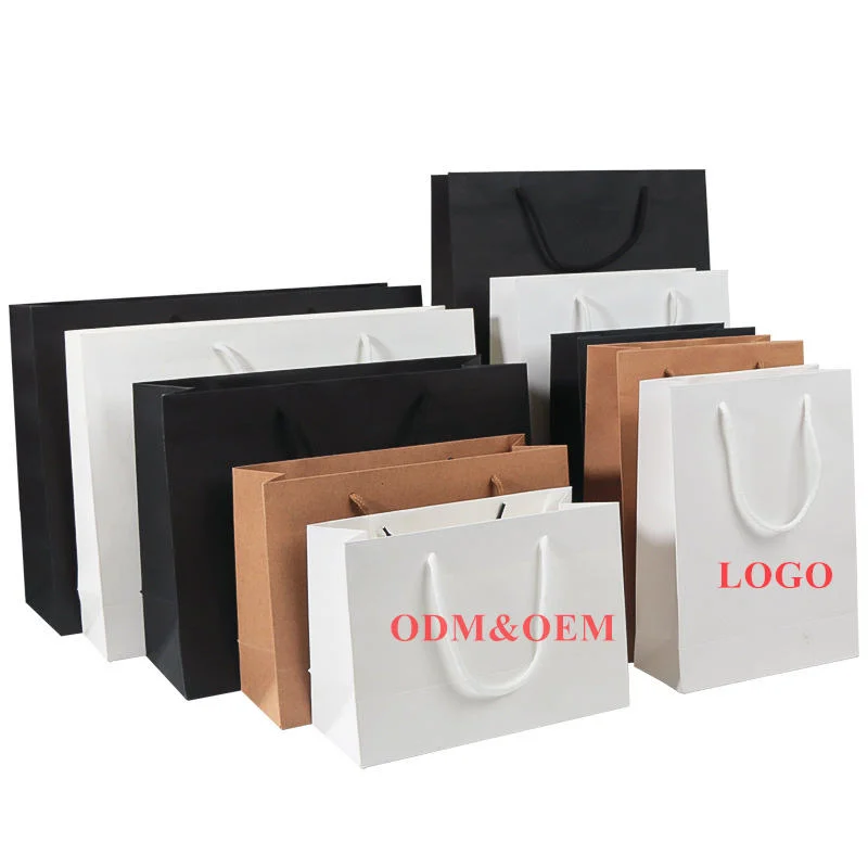 Luxury Matte Gift Shopping Paper Bag with Logo for Clothing Custom Packaging Bag