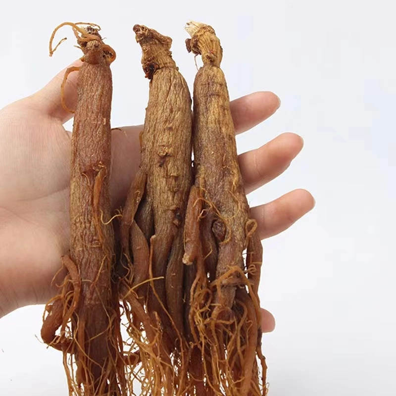 Chinese Herb Medicine Health Supplement 4 Years Old Red Ginseng Root