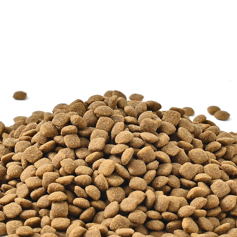 Wholesale/Supplier High quality/High cost performance Rations Large and Medium Adult Dog Food