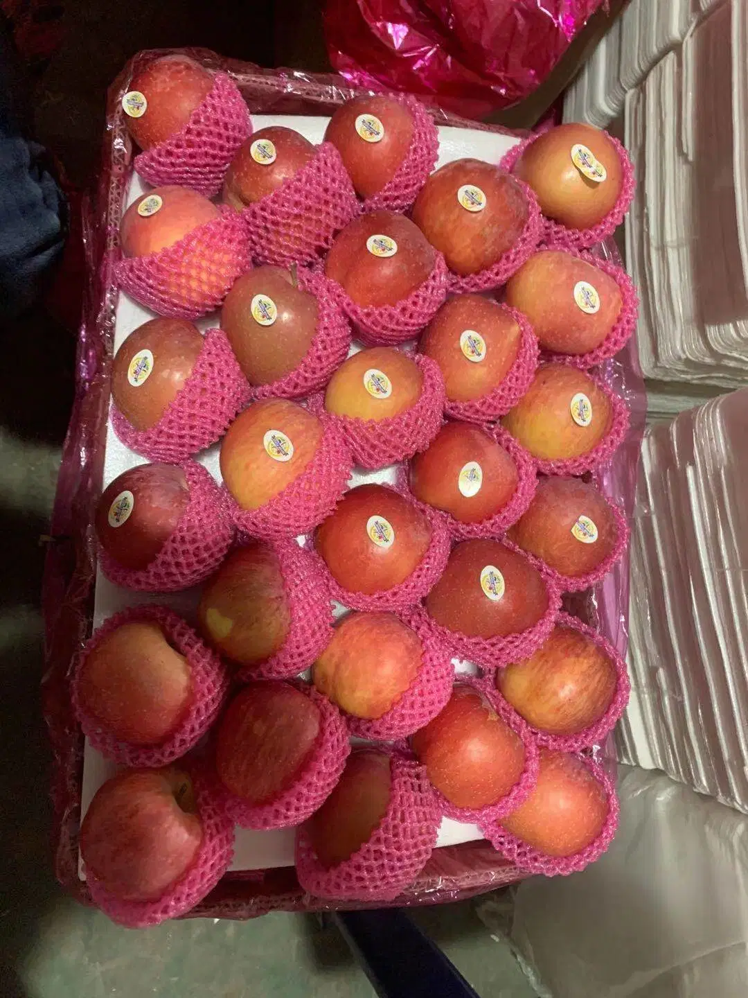 Bolsa de plástico, la nueva cosecha de manzana Fuji China