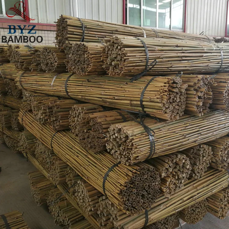 China Cheap Tonkin Natural Bamboo Poles