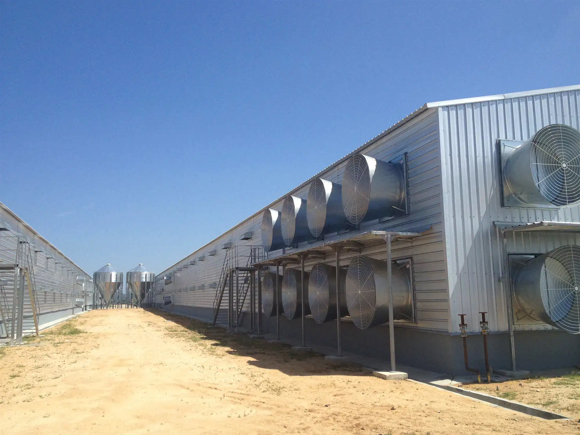 Casa de aves de corral pollo con equipos automáticos Wholeset