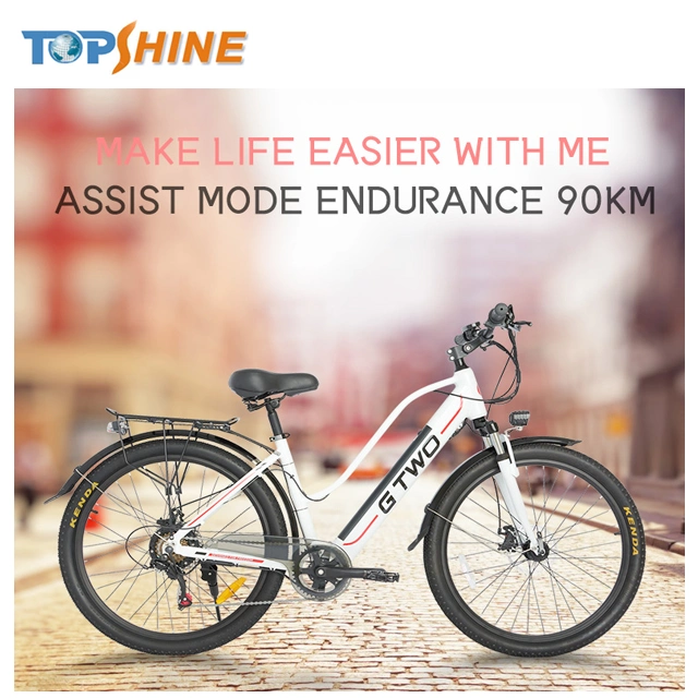 Smooth Power Assist System Aluminum Alloy City Electric Bike with Speed Limit 25km/H