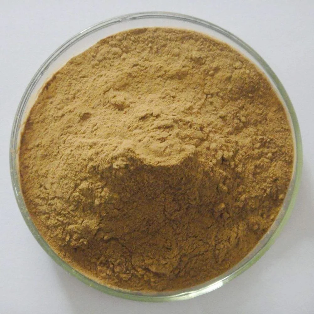 SOST Supply Ligustrum Lucidum Extract/Glossy Privet Fruit Extract