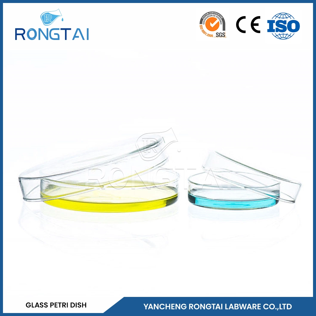 Rongtai Laboratory Petri Dishes Factory Borosilicate Glass Petri Dish 100mmx20mm China Glass Petri Dish with Lid