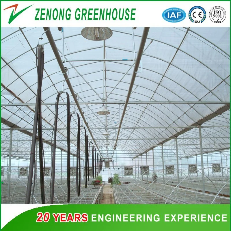Large-Scale Reinforced Po/PE/EVA Film Greenhouse for Planting Vegetable/Flower/Dwarfed Fruit Tree