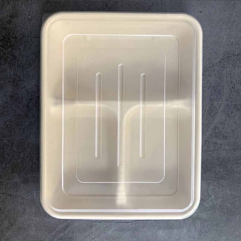 Watsonpak Environmental Protection Microwave Co Sugarcane Bagasse Bamboo Pulp Disposable Food Service Pulp Paper Compartment Biodegradable Tray with Lid