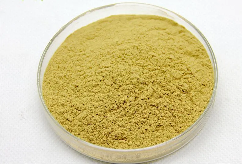 High quality/High cost performance  OEM American Ginsenosides 2% ~80% Ginseng Root Extract for Pharmacy