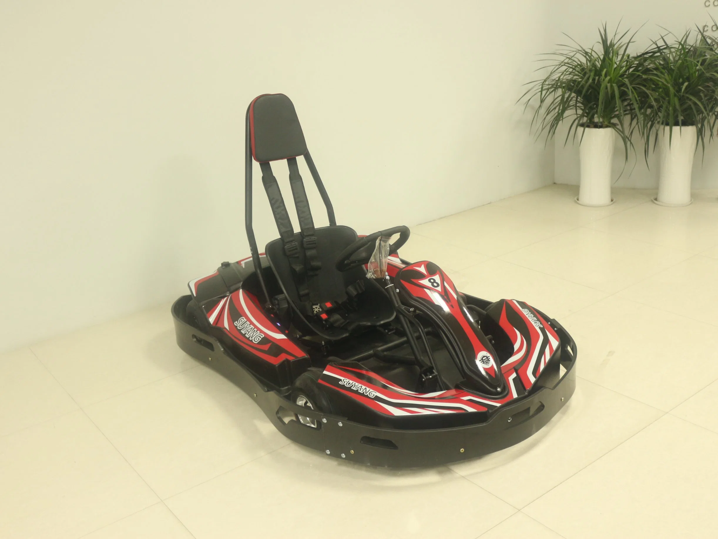 Precio de fábrica para adultos pedal Go Kart Mini eléctrico al aire libre Kart 3000W