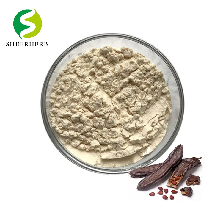 Top-Qualität Carob Bean Gum Sophora CAS 9000-40-2 Bean Gum Pulver