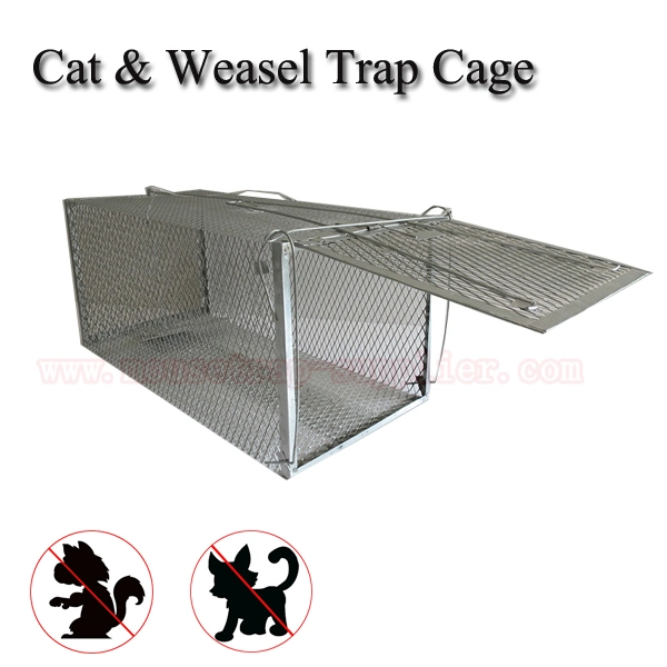 Malla duradera Gato y Weasel Trap Control de captura en vivo Con una sola puerta