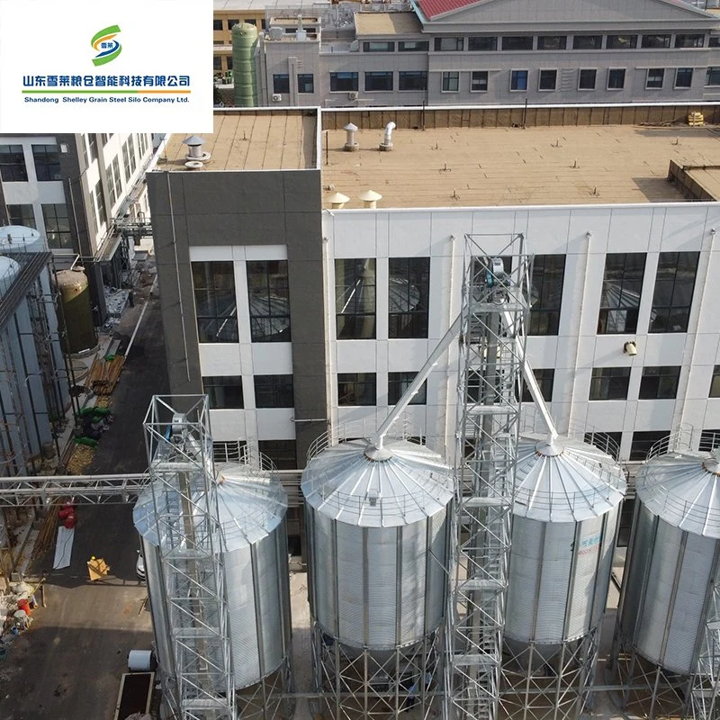 500 ~ 15000 toneladas Tolva de acero de grano de arroz cáscara de maíz para silo de almacenamiento de trigo Silos cono