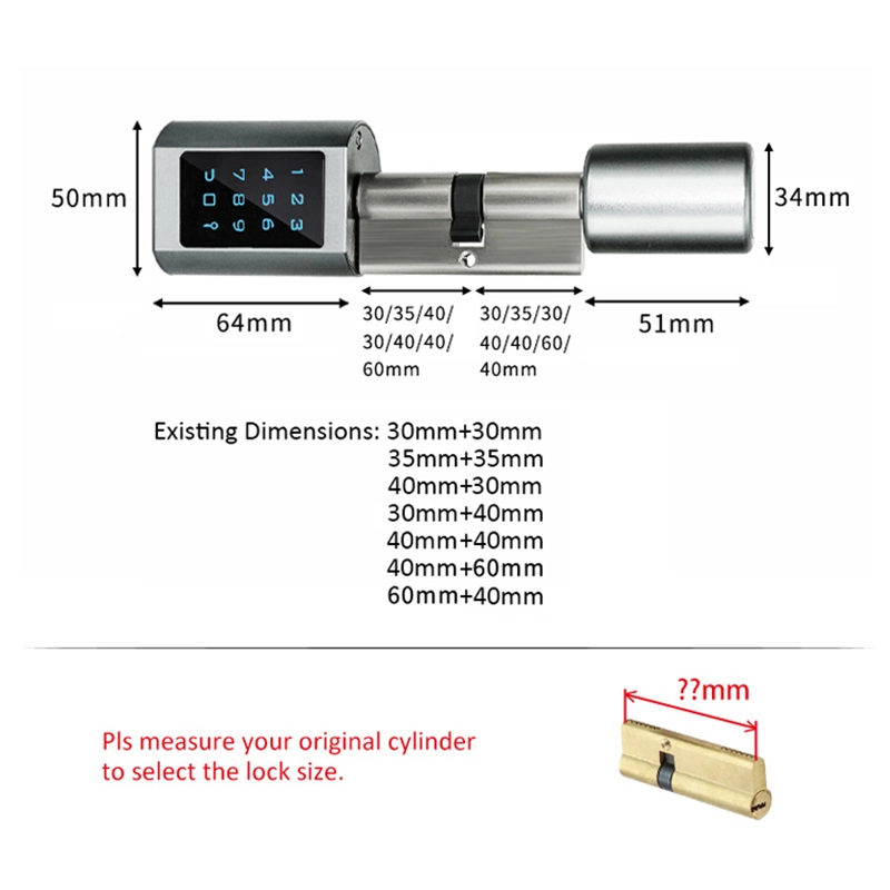 Ttlock APP Bluetooth RFID Card Euro Cylinder Lock with Digital Keypad