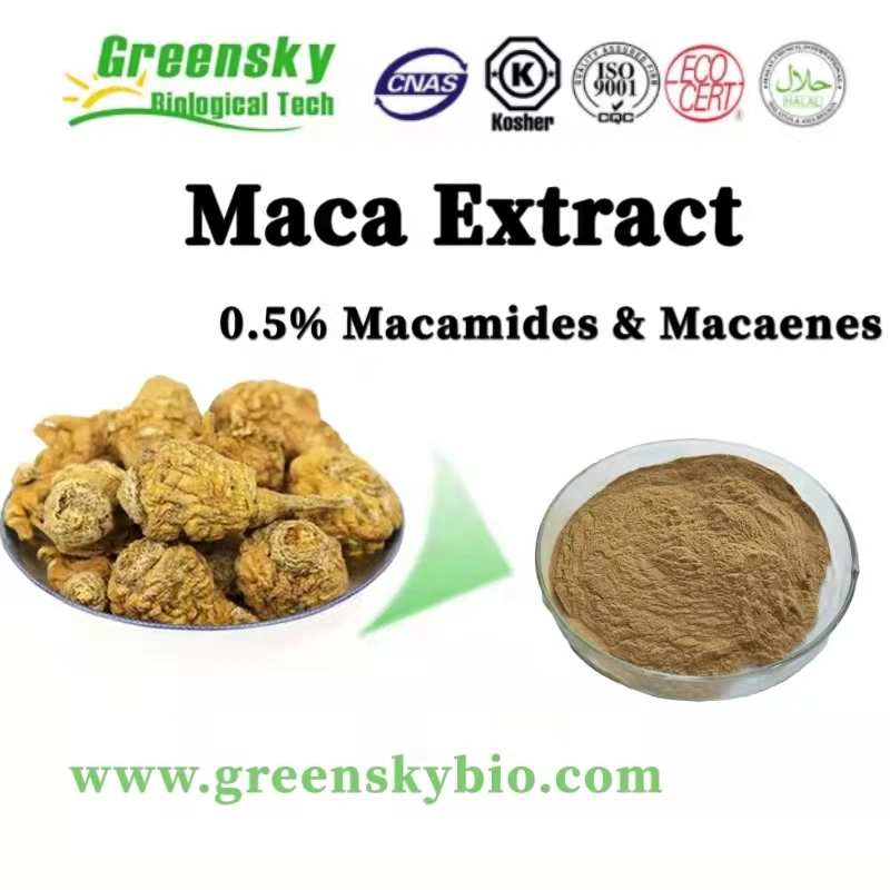 Extracto vegetal certificado de halal kosher Extracto herbario 0,5% Macamides &amp; Macaenes Maca polvo Extracto de Maca para el Cuidado de la Salud del Hombre