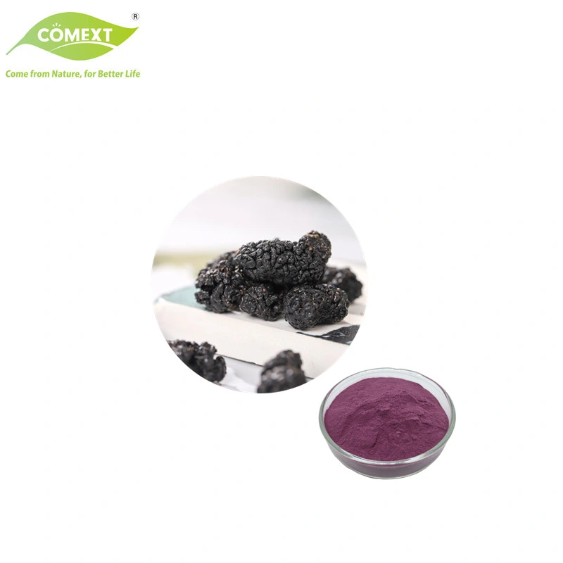 Comext Natürliche Mulberry Fruit Extract Mulberry Fruit Powder Saftpulver