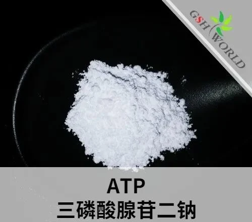 Hot Sale Adenosine Triphosphate Disodium (ATP) Bulk Powder CAS 987-65-5