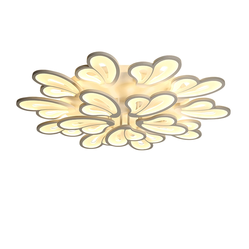 Standard Acrylic Ceiling Light Fixture for Living Room Bedroom Lighting Fixtures (WH-MA-51)