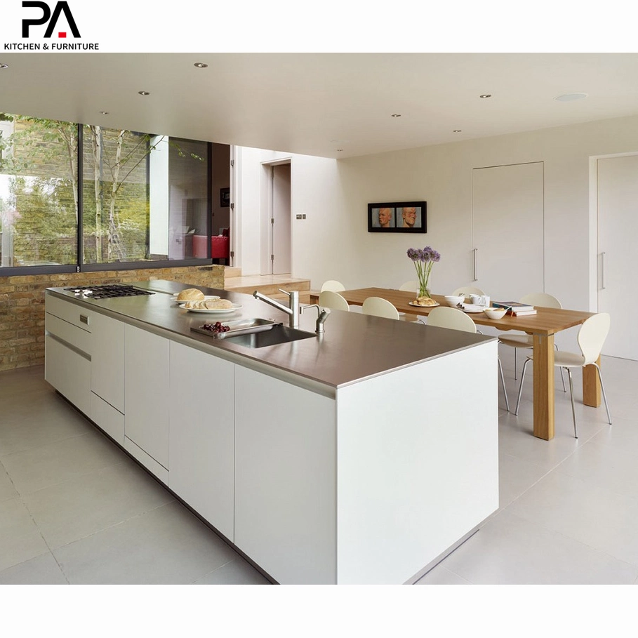 Modular Kitchen Cabinets with Rta Shaker Design Finish