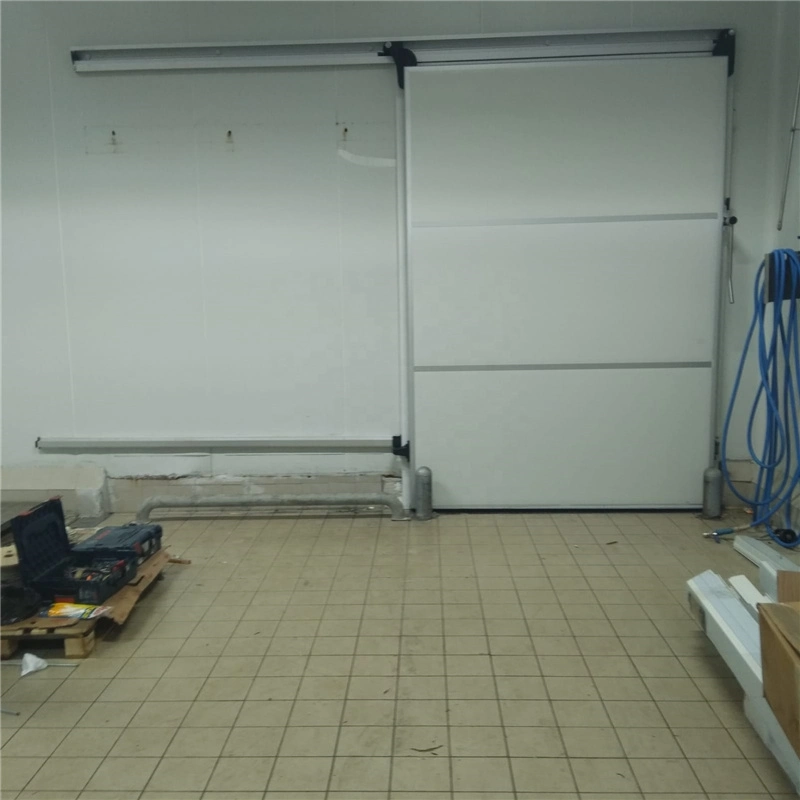 Industrial Commercial Thermal Insulated PU Sandwich Panel Sliding or Swing Cold Room Door for Cold Stores or Refrigeration Room