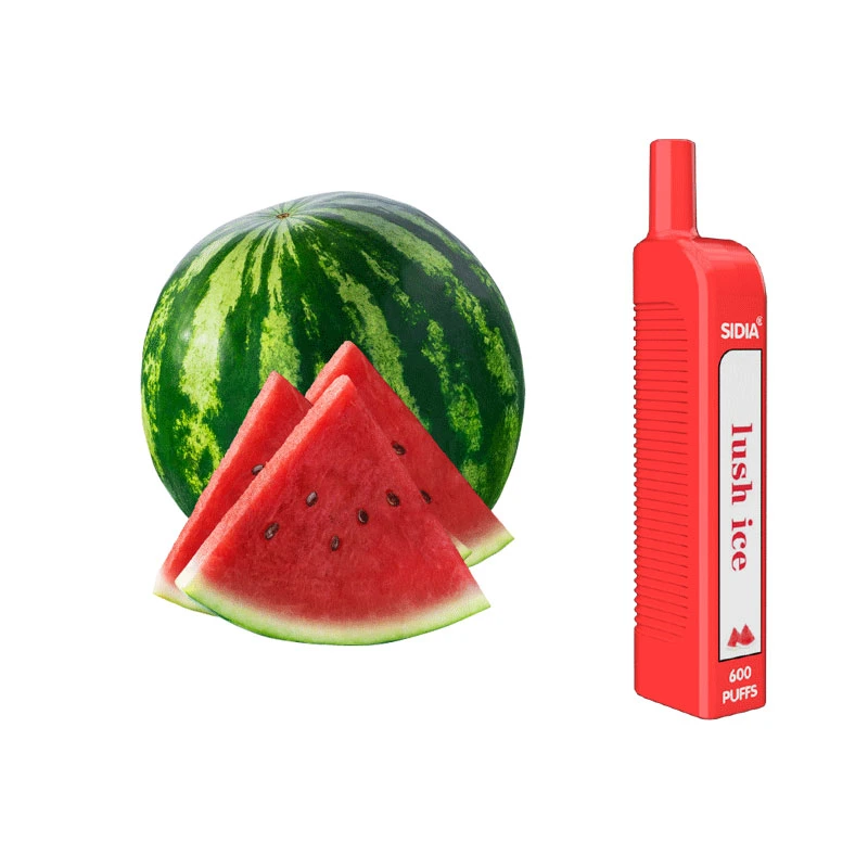 Wholesale/Supplier Sidiamini 600 Puffs 1.6 Ohm Disposables of Watermelon Ice