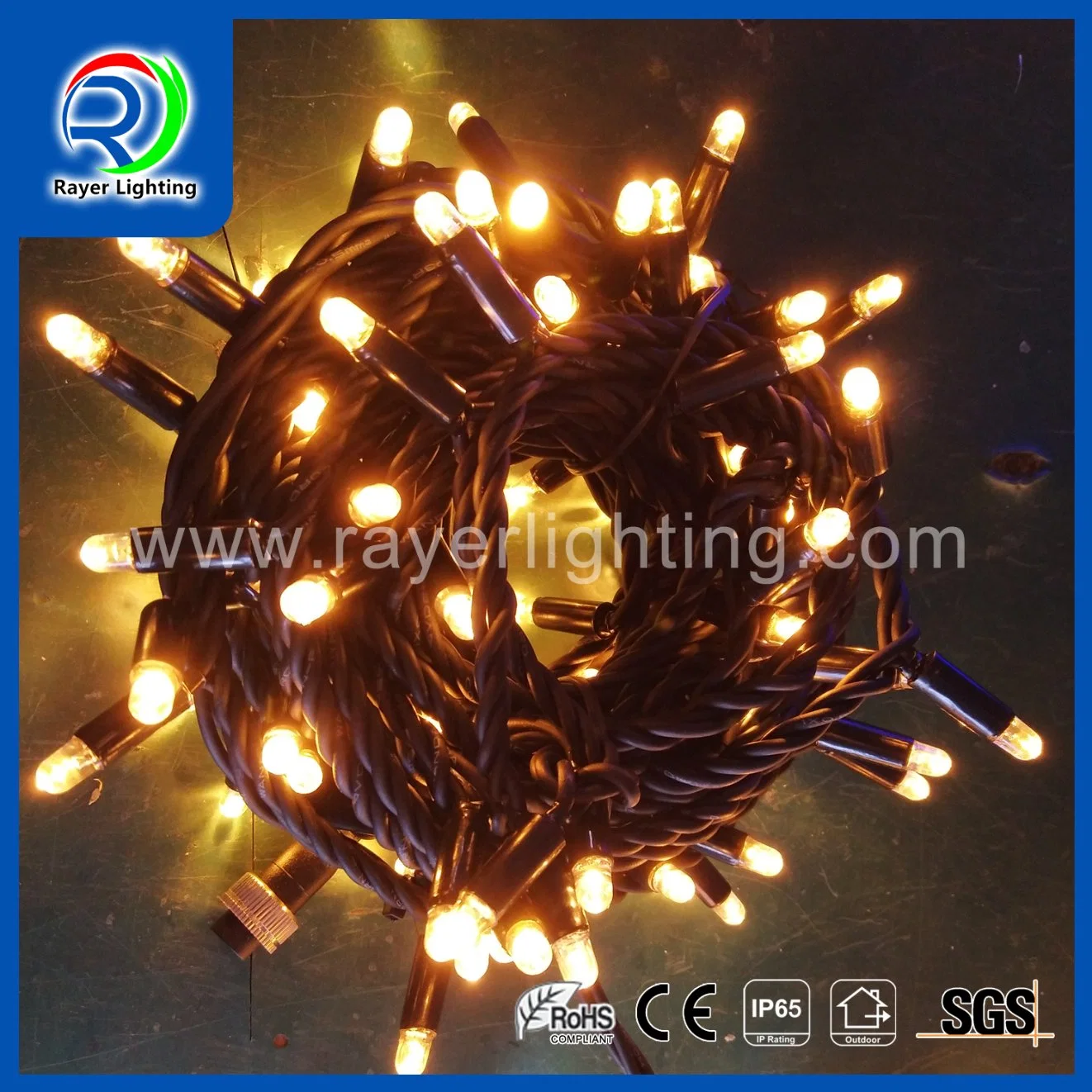 Flashing Decoration LED Chasing Lights Effects Decorative Lights LED String Light