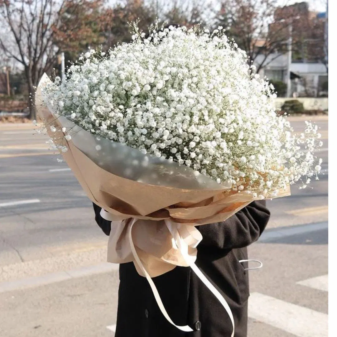 Natural Gypsophila Dried Flowers Succulent Wedding Bouquet Wedding Table Arrangements