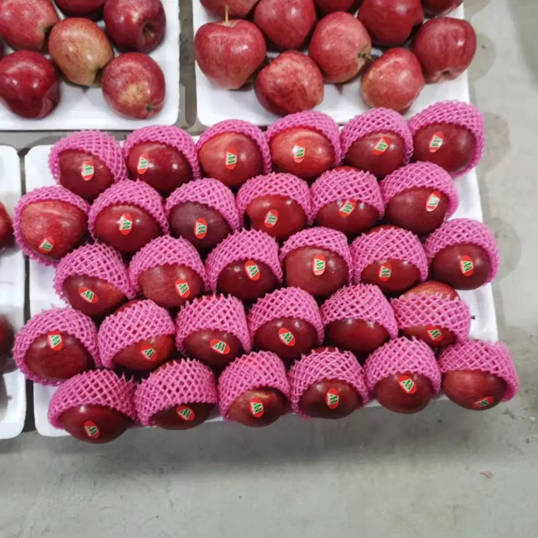 New Season Fruit Red Star Apples