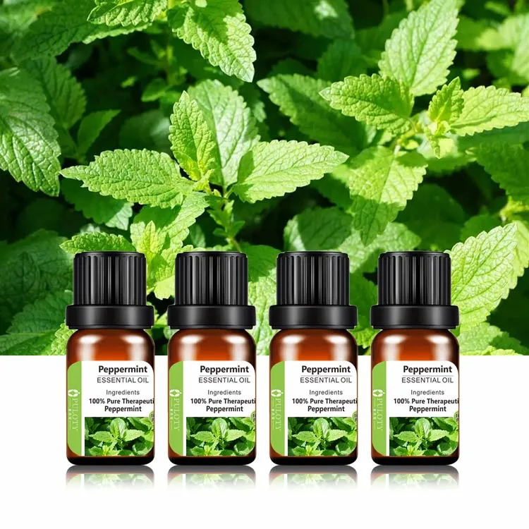 China Bulk aceite esencial Mentha aceite de menta