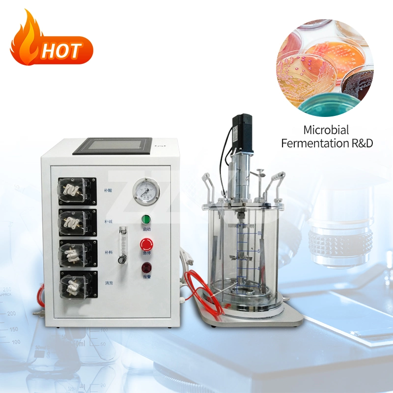 Hot Sale Bioreactor Glass Reactor 1L 2L 3L 5L 7L 10L Laboratory Small Glass Bioreactor Fermenter