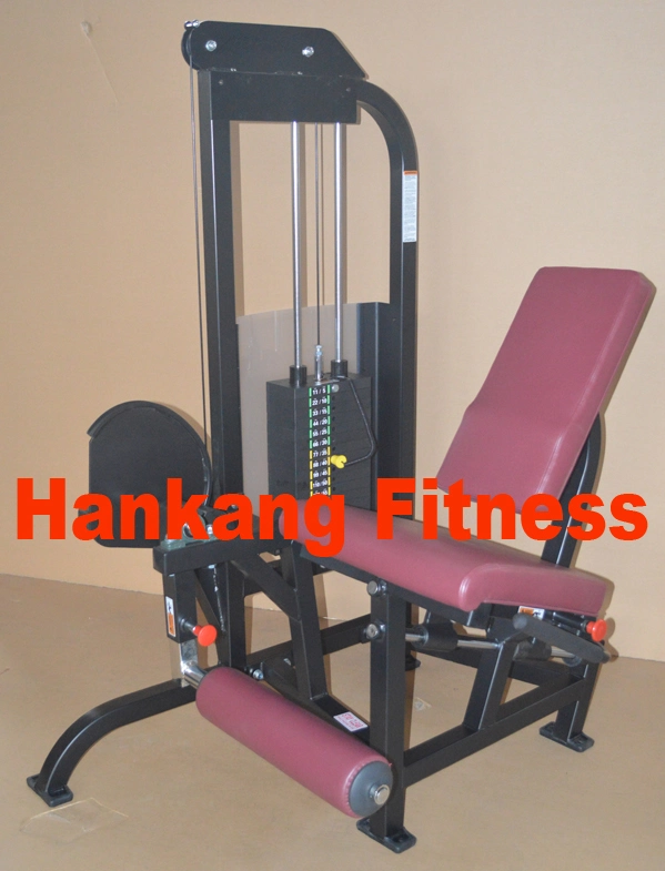 Commercial Strength, Gym and Gym Equipment, Body-Building, Seated Leg Press (PT-422)