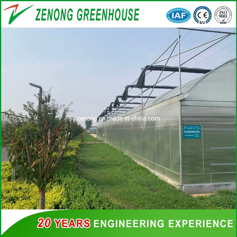 Agricultural/Commercial/Poultry /Garden Multi- Span Poly Film/Po/PE/PC/Glass/ Film Covered Greenhouse for Vegetable /Tomatoes/Cucumber/Peppers/Strawberry