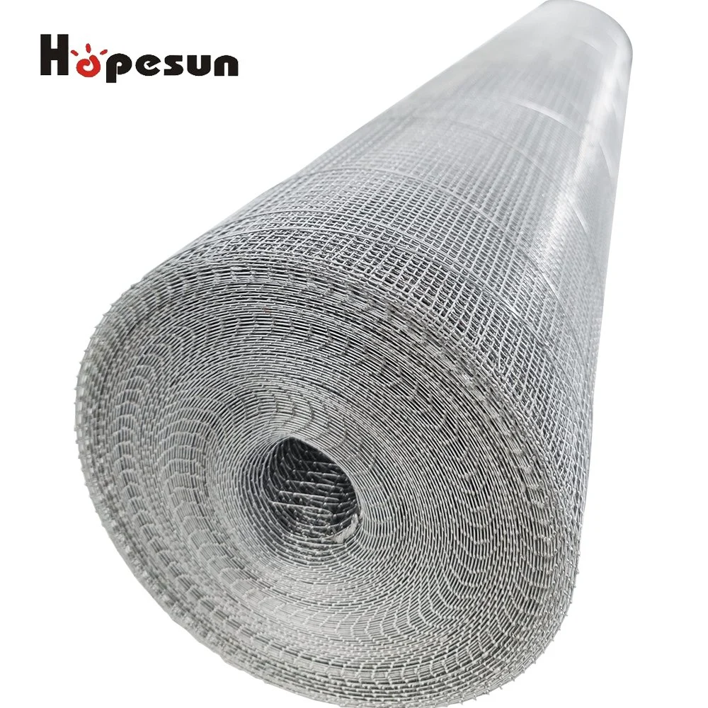 Hot Dipped Galvanized Before Welded Wire Mesh in Roll