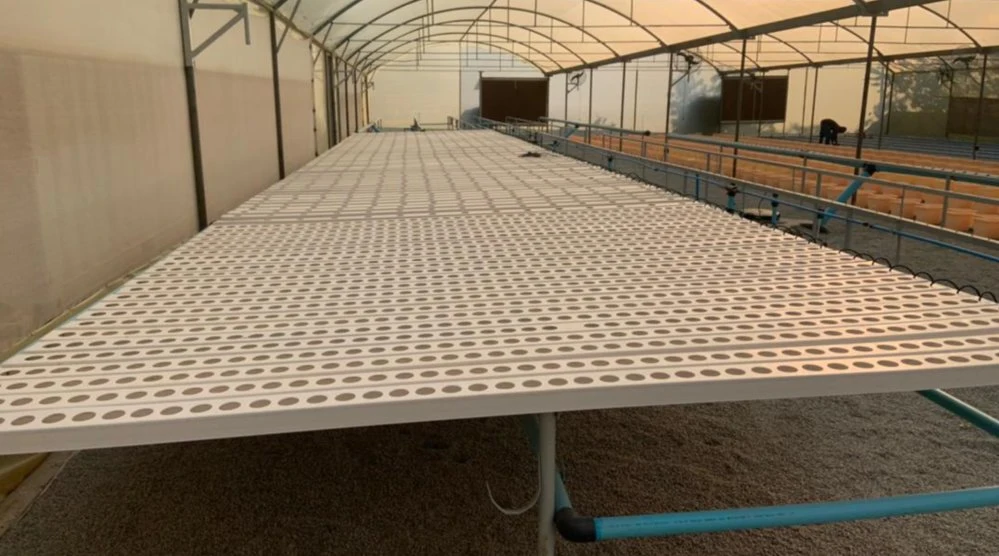 Tubería de cultivo de NFT hidropónico para el sistema de invernadero vegetal de hoja de cultivo Tubo de plástico