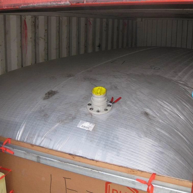 Blue Whale Manufactured Flexitank/Flexibag/Liquid Bag for Bulk Liquids Beer