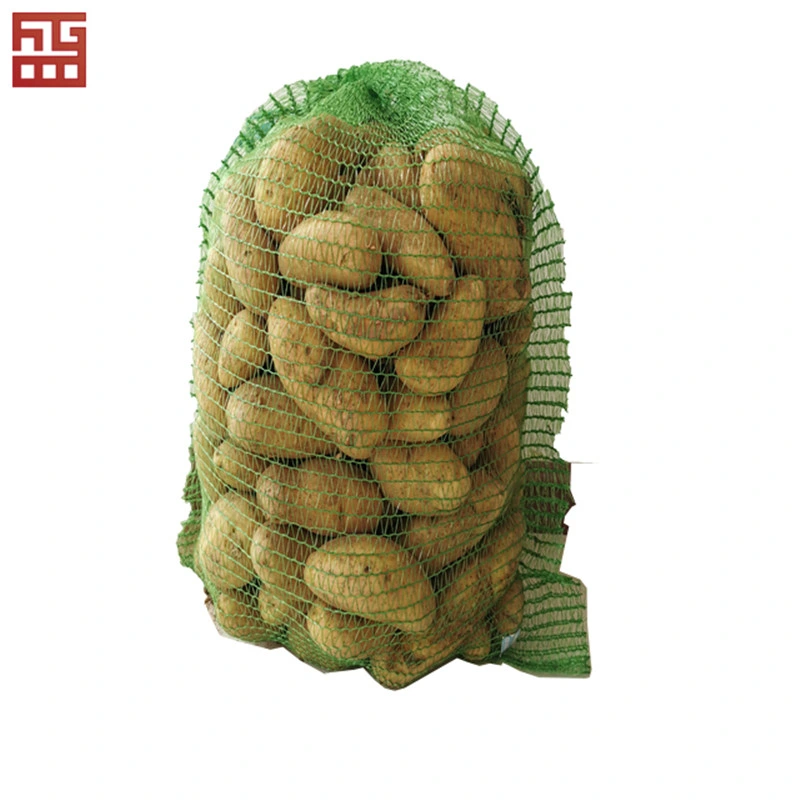 Monofilament Green PE Fruit Cover Date Tree Palm Mesh Bag for Palm Dates