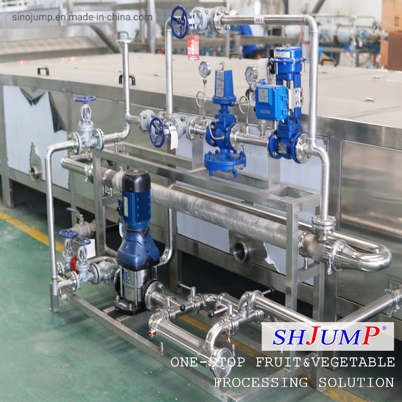 8t Per Hour Processing Capacity Pineapple Juice Processing Line