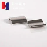 High quality/High cost performance Permanent Neodymium Magnet for Motor