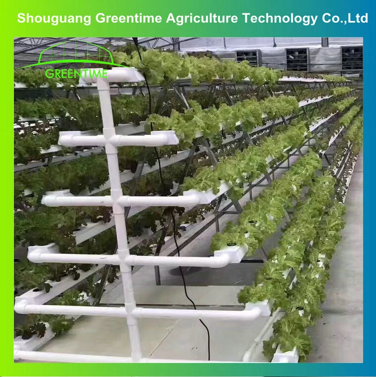 Factory Price High Quality Hydroponics Vertical Nft Growing System Farm Lettuce