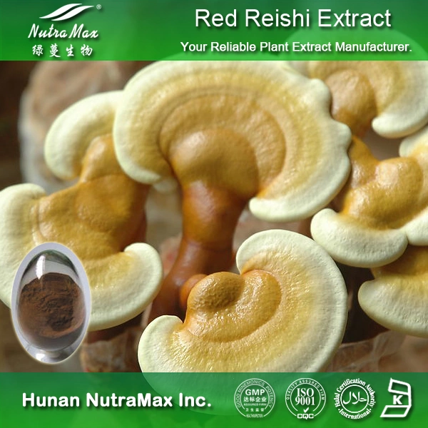 Lingzhi Shell-Broken Ganoderma Lucidum Spore Powder with Free Samples