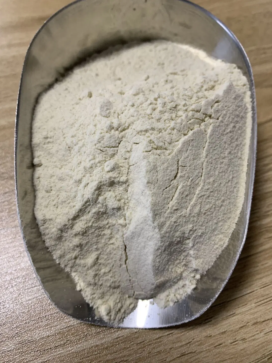 Widely Used Wheat Gluten Powder Wheat Protein Powder with Factory Price