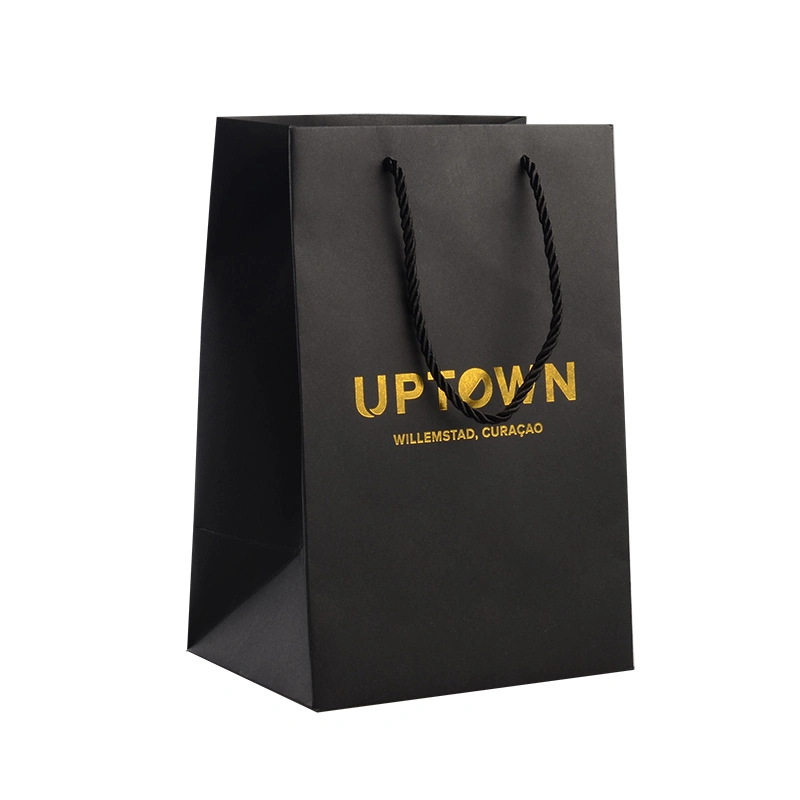 Wholesale/Supplier Luxury High quality/High cost performance  PP Handle Paper Shopping Packaging Bags with Ribbon Closure for Clothing / Apparel/ Gift