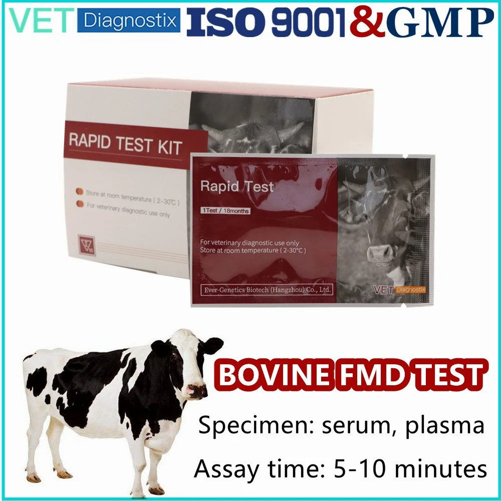 Foot and Mouth Diseases Test Fmd Test Kit Bovine Foot and Mouth Diseases Virus Non-Structural Protein 3ABC Antibody Test Kit