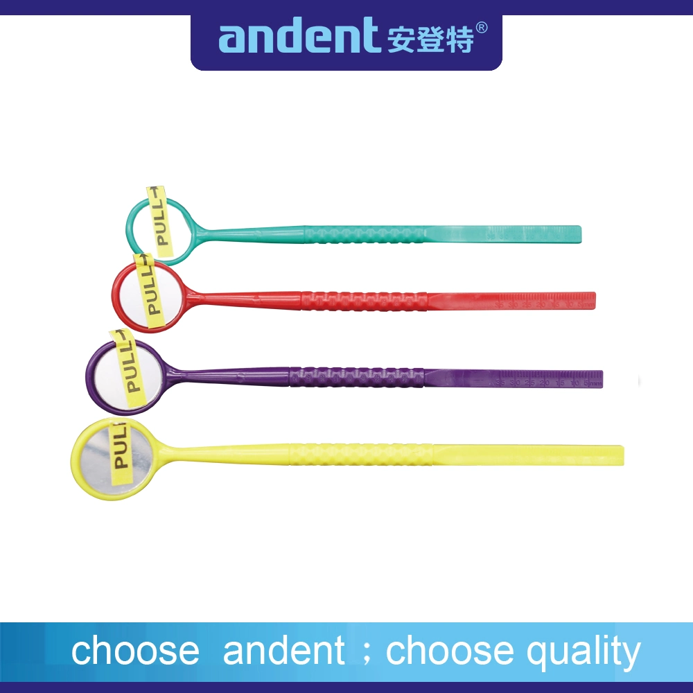 Dental Instruments ABS Mirror with Ruler