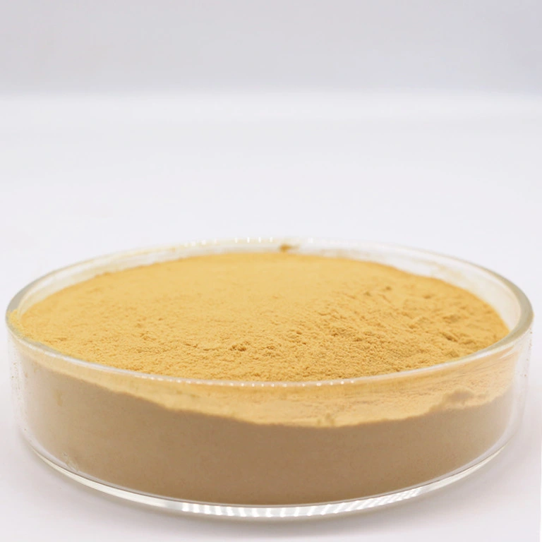 أفضل خديقات عضوية 100 ٪ المياه Soluble chitosan Powder