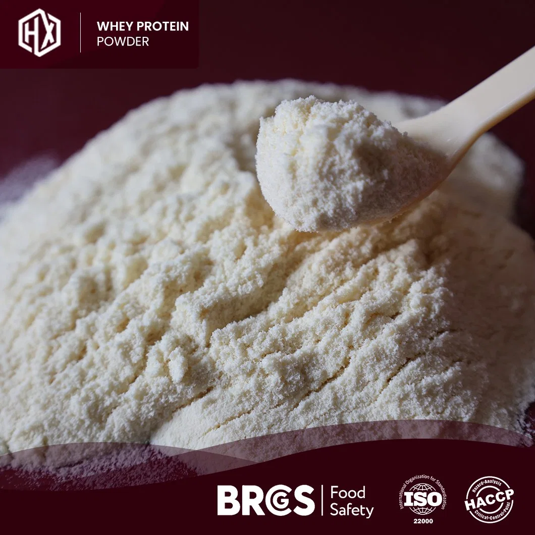 Haoxiang Domestic Brand Pure Nutrition Supplements White Powder PRO Whey Protein Suppliers China Whey and Casein Protein Powder