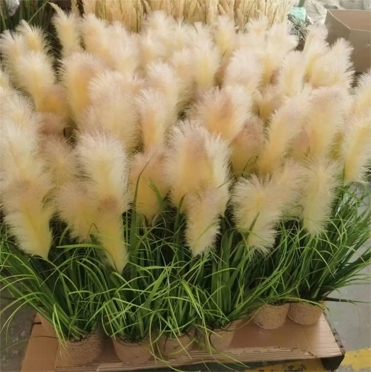 OEM Factory Customized Home Decor Wholesale Artificial Plants Artificial Decorative Plants White Pampas Grass Faux Pampas Grass Planta Manufacturer in China