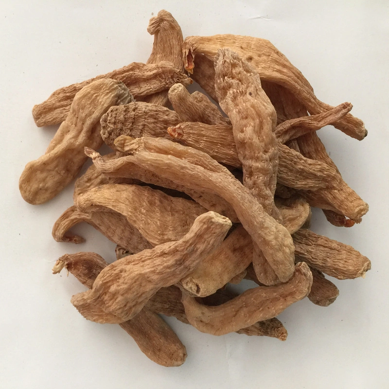 Factory Supply Rhizoma Gastrodiae Traditional Chinese Crude Herbal Gastrodia Elata Tian Ma