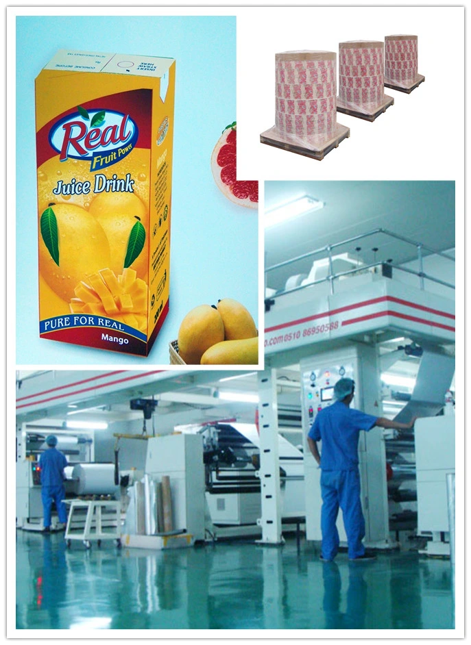 Aseptic Packaging Paper Box for Milk