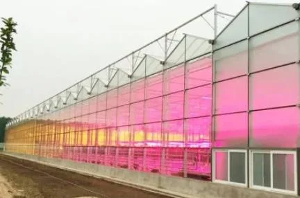 Smart Greenhouse with LED Grow Light for Medical Plants